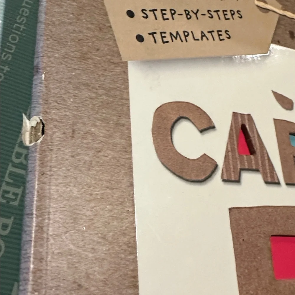 The Cardboard Box Book: Make Robots, Princess Castles, Cities, and More! rare!